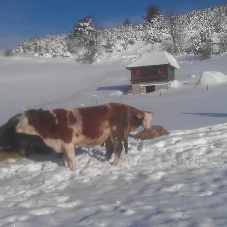 Farm stay Etno Milikina Ravan Nova Varos