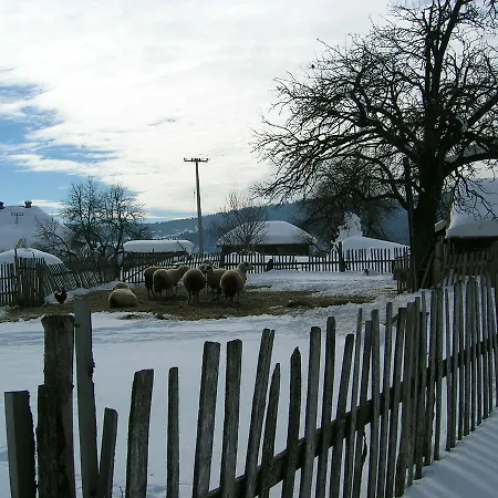 Etno Milikina Ravan Farm stay *