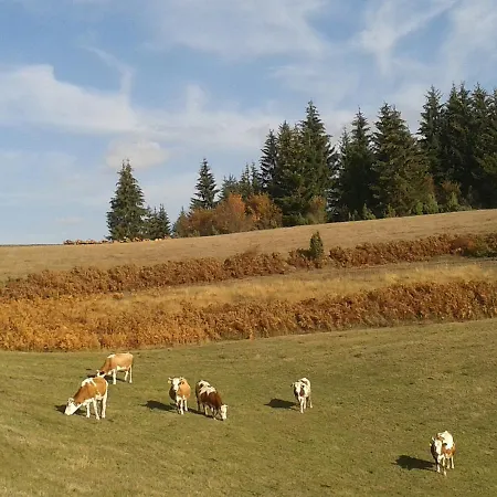 Farm stay Etno Milikina Ravan
