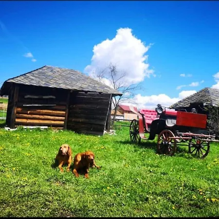 Farm stay Etno Milikina Ravan Nova Varos