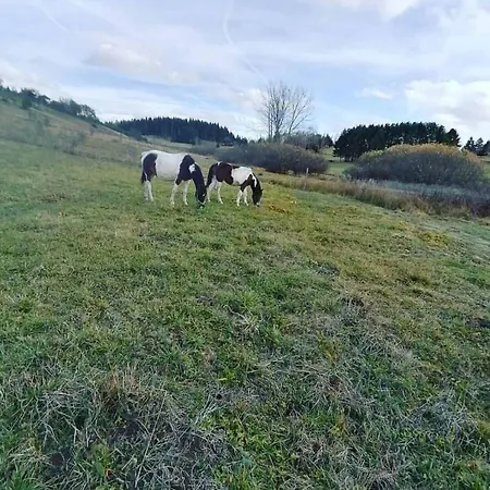 Etno Milikina Ravan Farm stay *