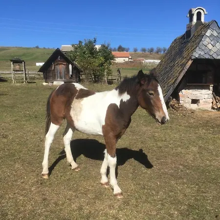 Etno Milikina Ravan *